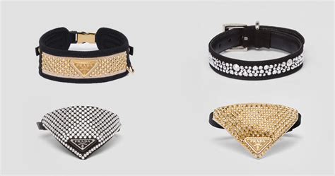 prada dog collar and leash|most expensive dog accessories.